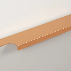 Мебельная ручка RAY RT109SG.1/160/200