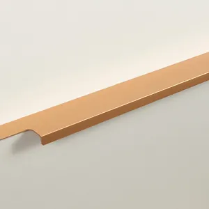Мебельная ручка RAY RT109SG.1/000/450