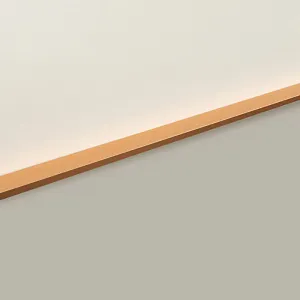 Мебельная ручка RAY RT109SG.1/000/900
